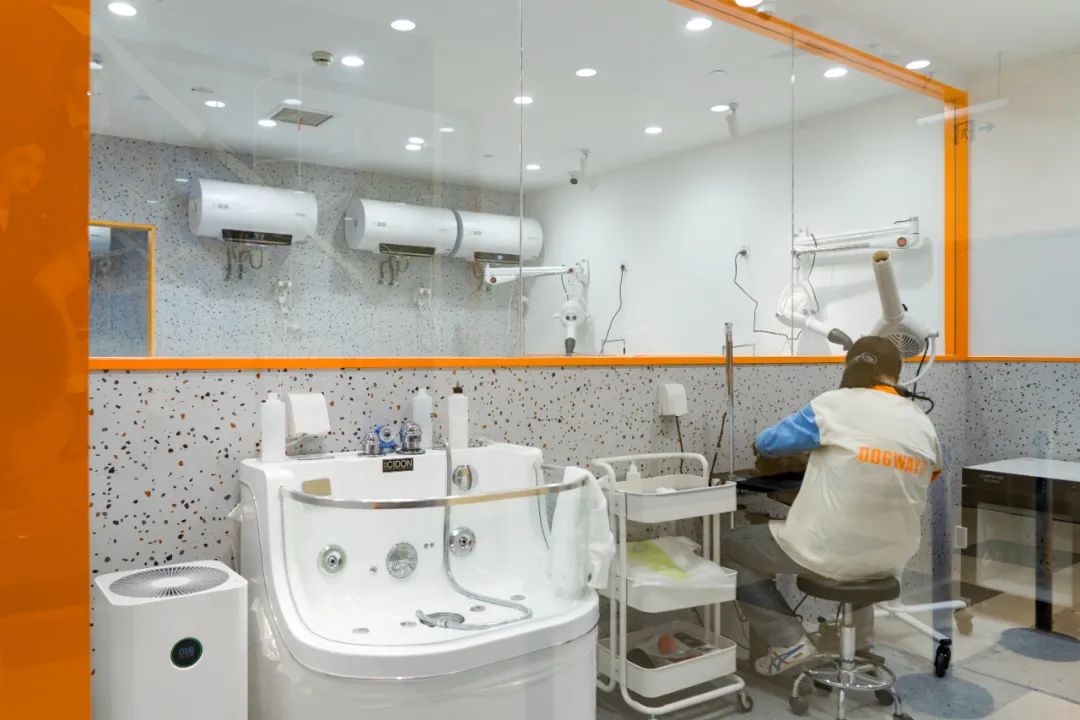 狗道宠物上海嘉定店,狗道宠物百联南方店