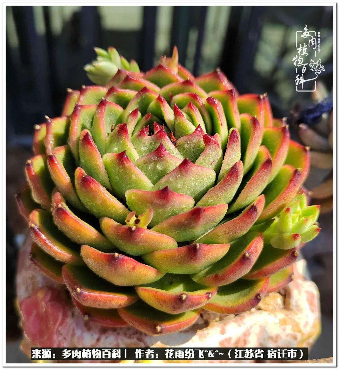 快乐的童年时光视频,回味快乐的童年美好的时光