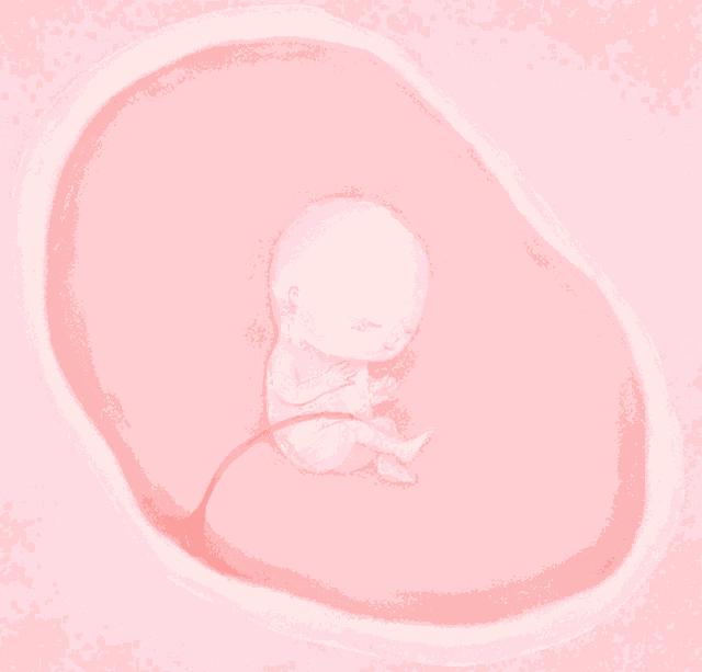 揭秘！肚子里的宝宝竟然是这样的