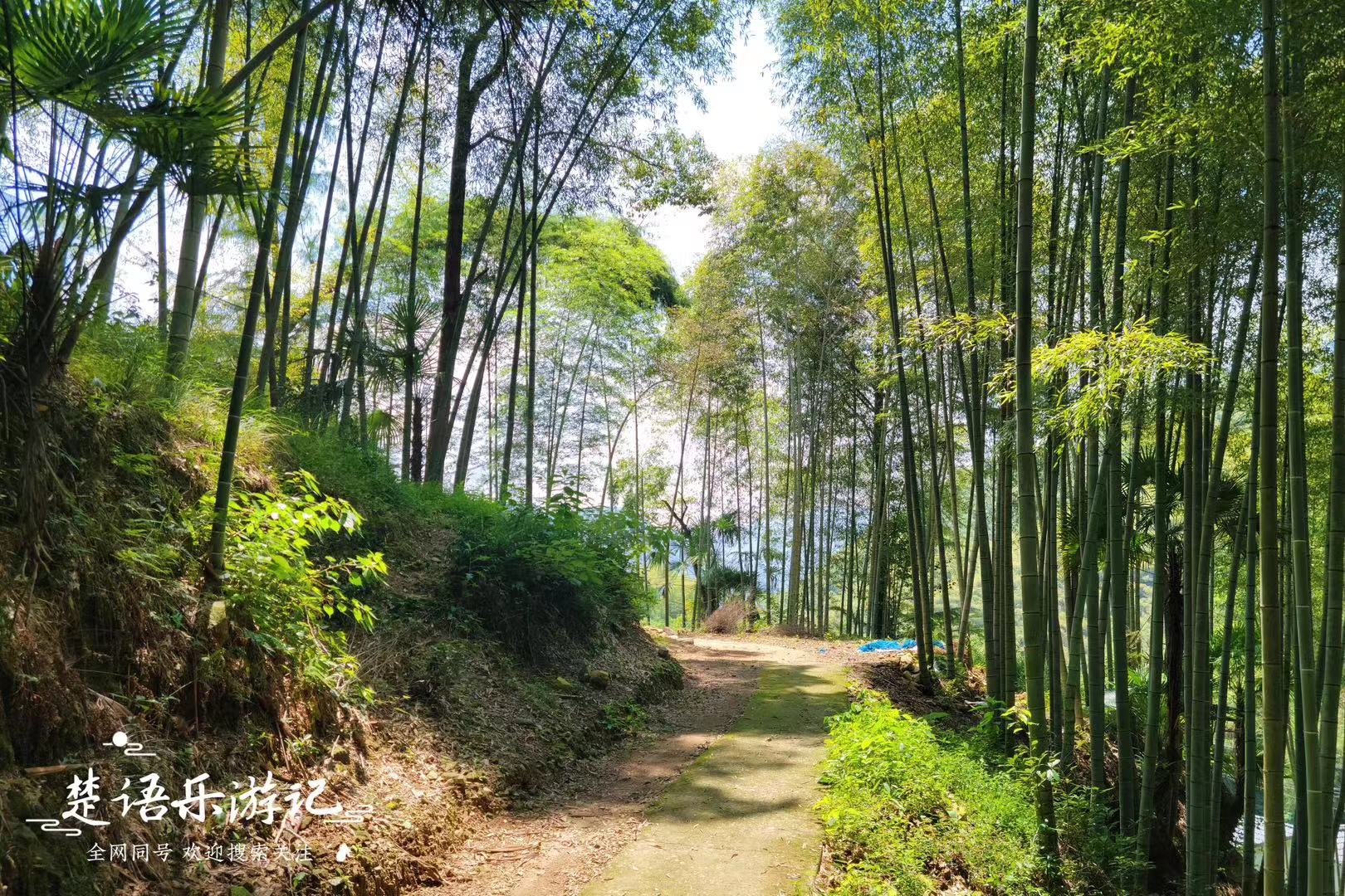 浙江隐藏最深的古村,浙江被遗忘的古村落