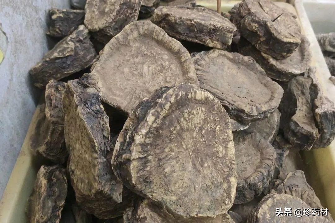 紫苏叶胖大海甘草,胖大海罗汉果麦冬紫苏叶