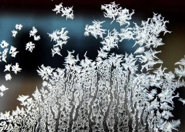 不用剪刀做出来的简单窗花,窗花有哪种常见制作方法