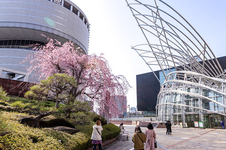 大阪中之岛美术馆再现宋潮雅集,大阪周游卷中之岛美术馆