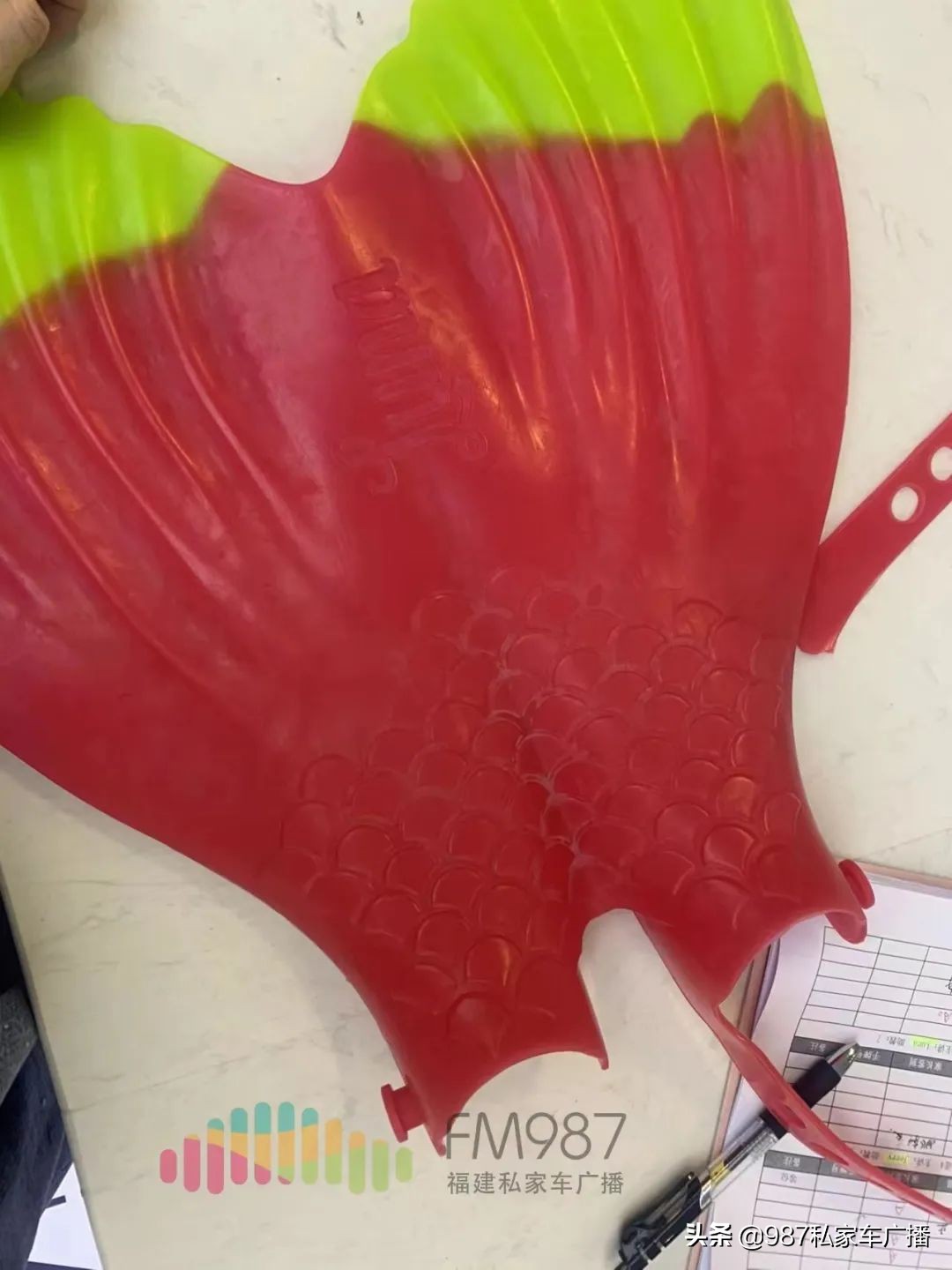 福建省林女士,福建林女士