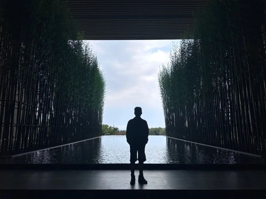 我在新疆创业,我在新疆做生意