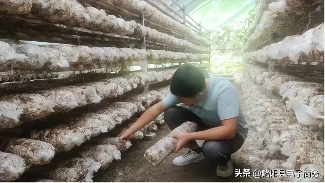 略阳县黄家沟村,略阳电商开辟新天地