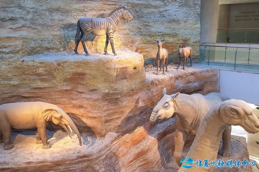 2024骞村宸磋兒閰嶈壊,缁胯壊鐨勫宸磋兒閰嶈壊