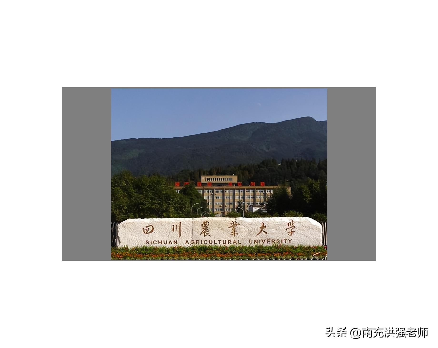 杭州成人自考专升本学校,专升本是在学校考好还是自考好