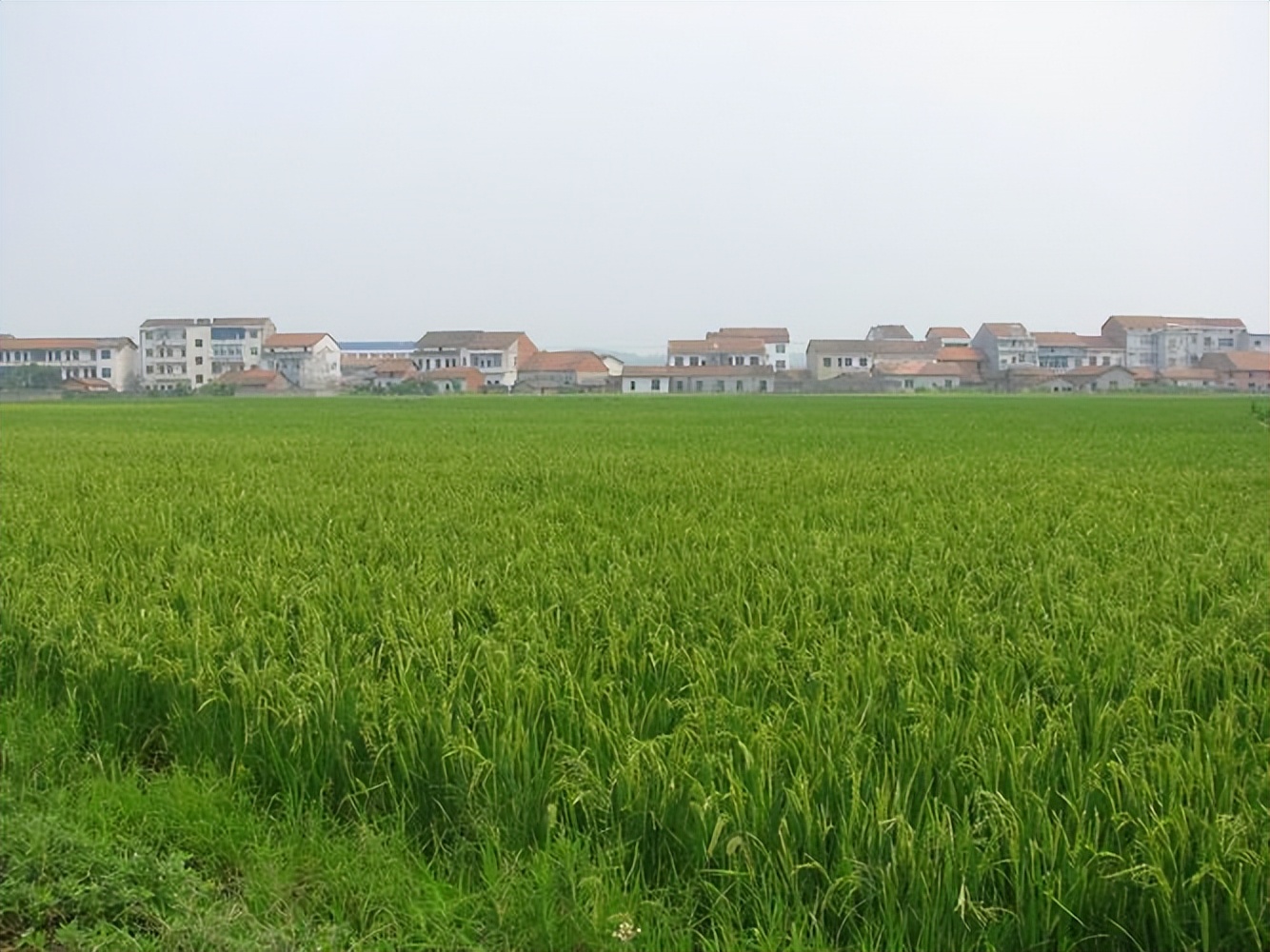 难忘家乡那一抹醉人的夕阳红