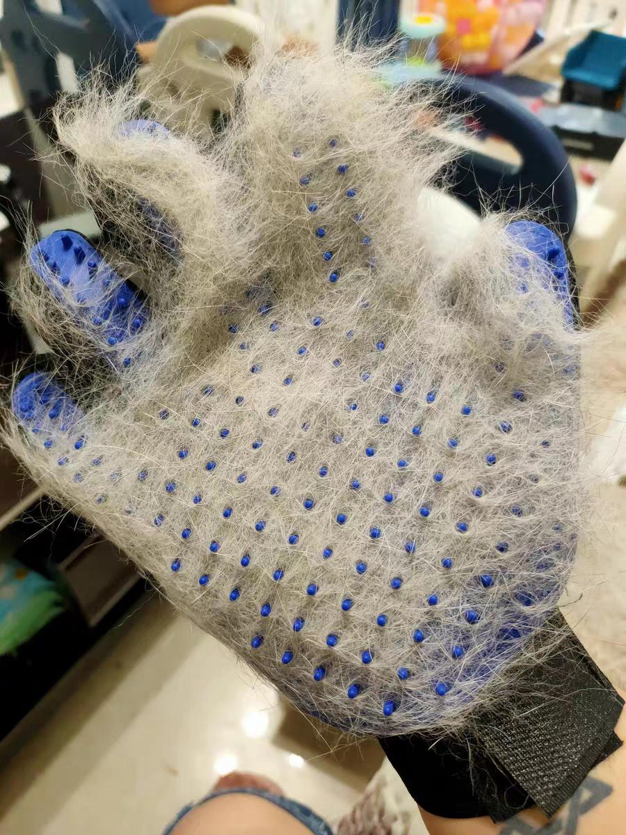 猫掉毛秃了一块白皮用什么药治,猫脖子一块一块的掉毛怎么回事