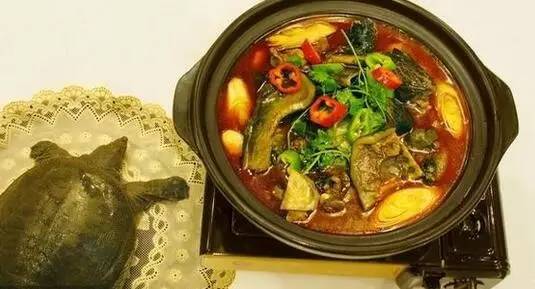 描述舌尖上的美食湖北,湖北最值得吃的美食