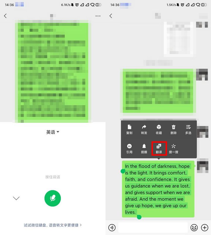 英语语音转中文翻译,英语翻译要语音吗