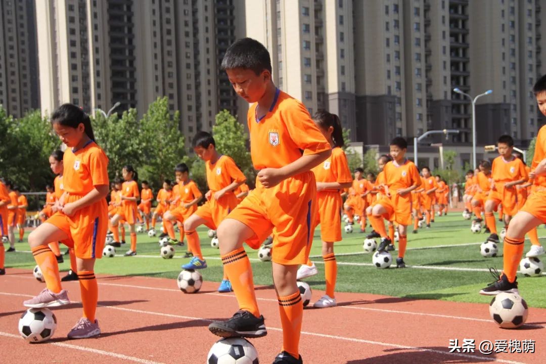 槐荫大金小学,槐荫区大金小学片区