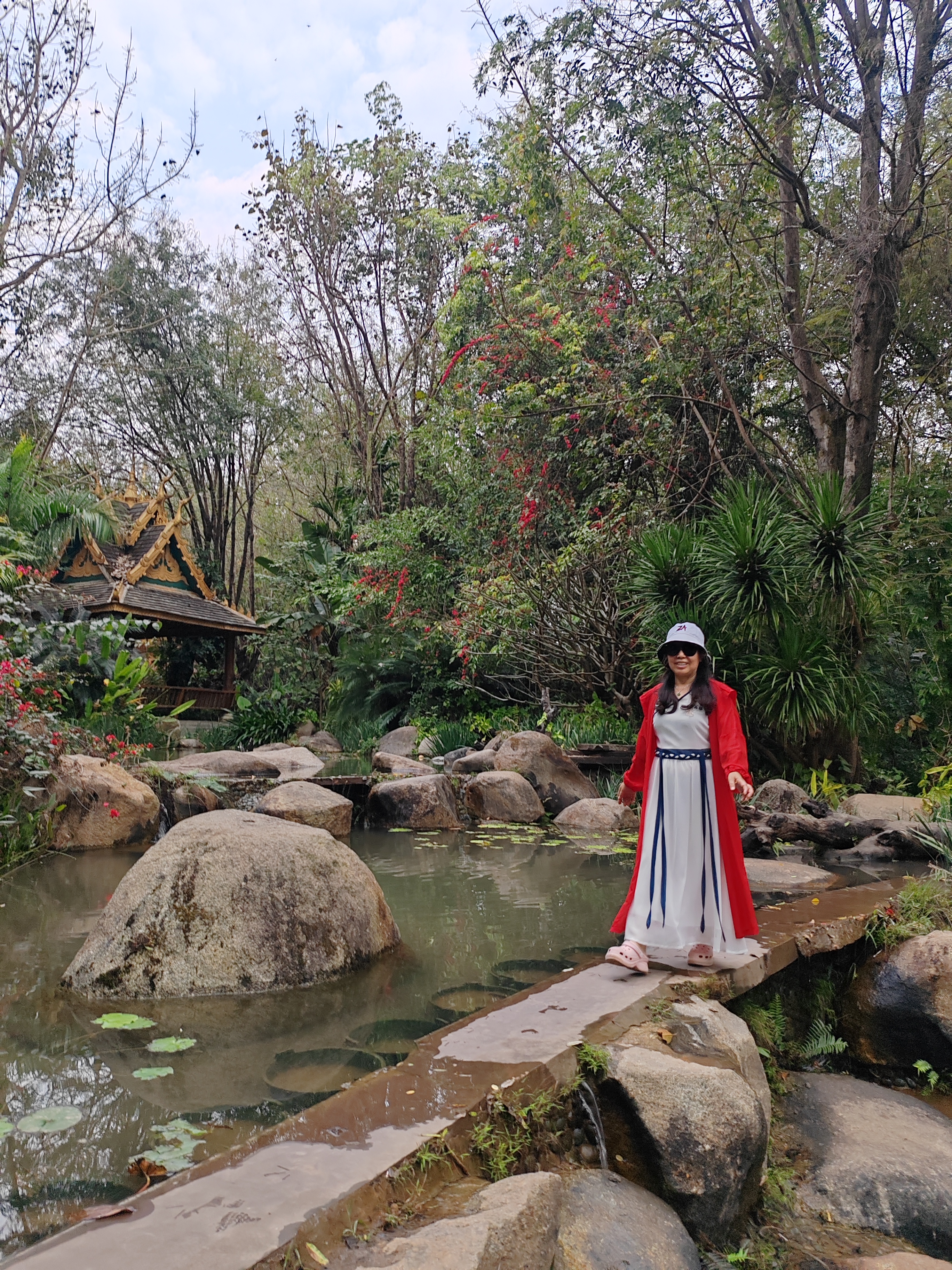 西双版纳曼听园攻略,云南西双版纳打卡曼听公园