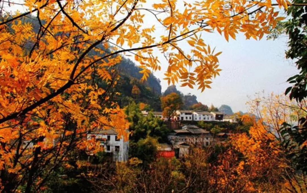 带你去看不一样的黄山之美,2020黄山旅游攻略带你玩转黄山