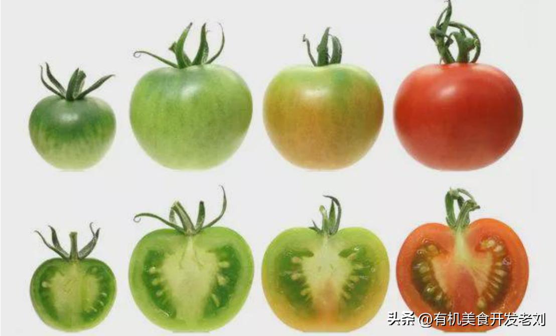 番茄怎么储存才能保持营养,番茄怎么储藏的时间长