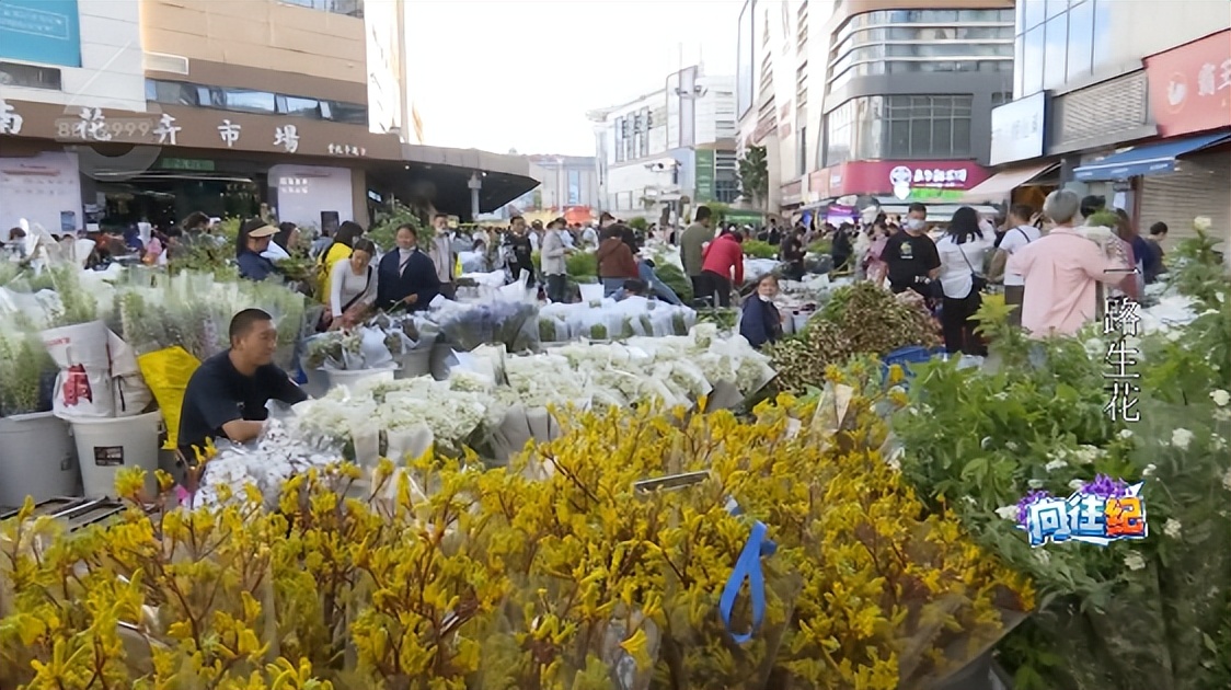 盘点人们都向往的工作,向往的工作和现实的工作