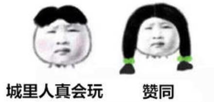 除了相声都能上热搜？被德云社新瓜惊呆了