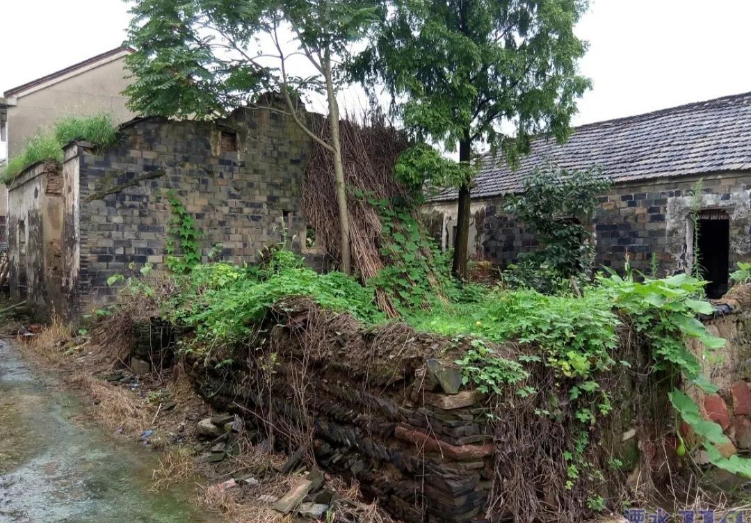 不系舟作者作品全集,不系舟抖音账号