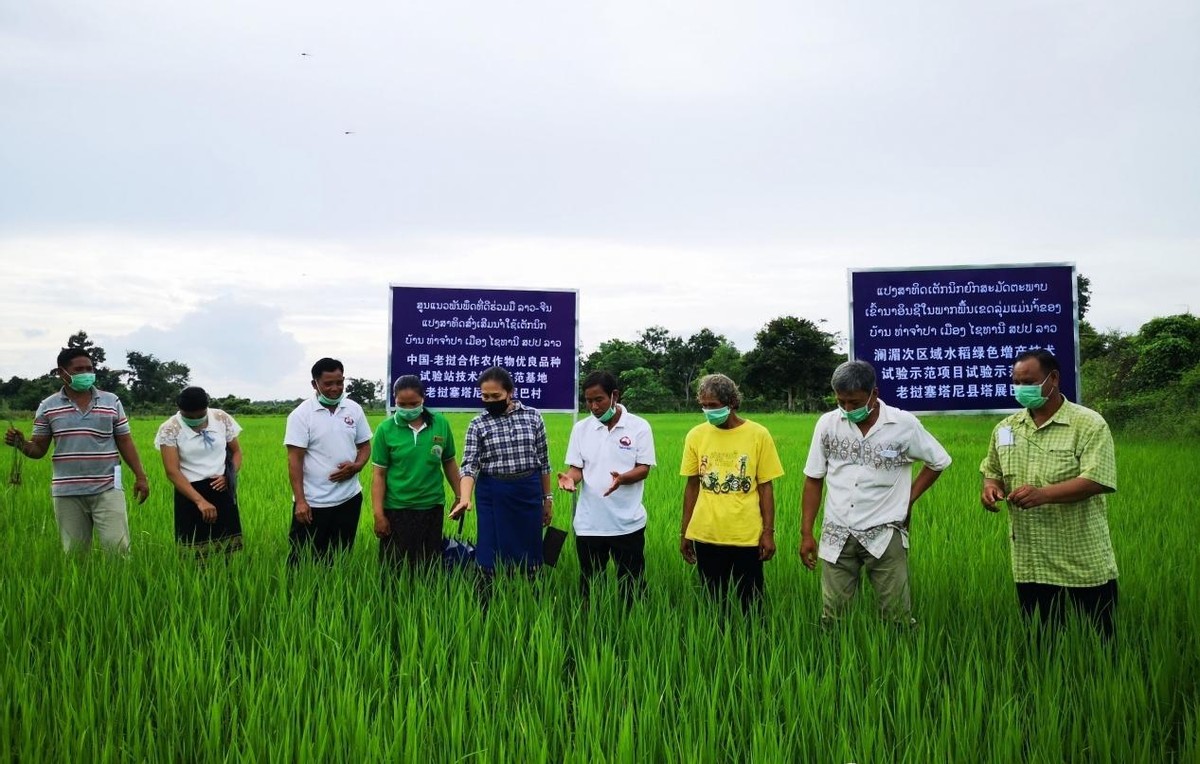 广西农产品产业链,广西农产品产业集群化