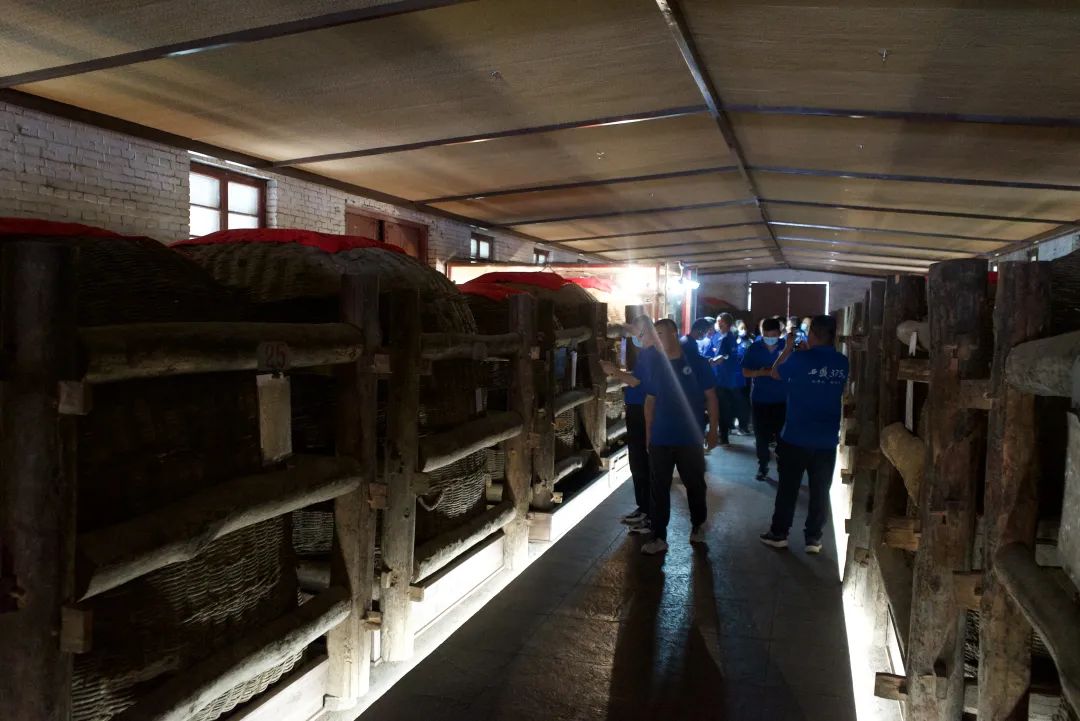 从大明宫到大酒海,西凤375酒经销商大会跨越千年的沉浸式体验