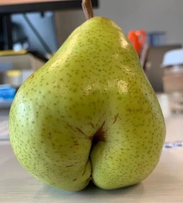 长得丑被抛弃,长得丑被人抛弃