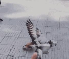 兵马俑制作过程简单用粘土,兵马俑制作过程电视剧