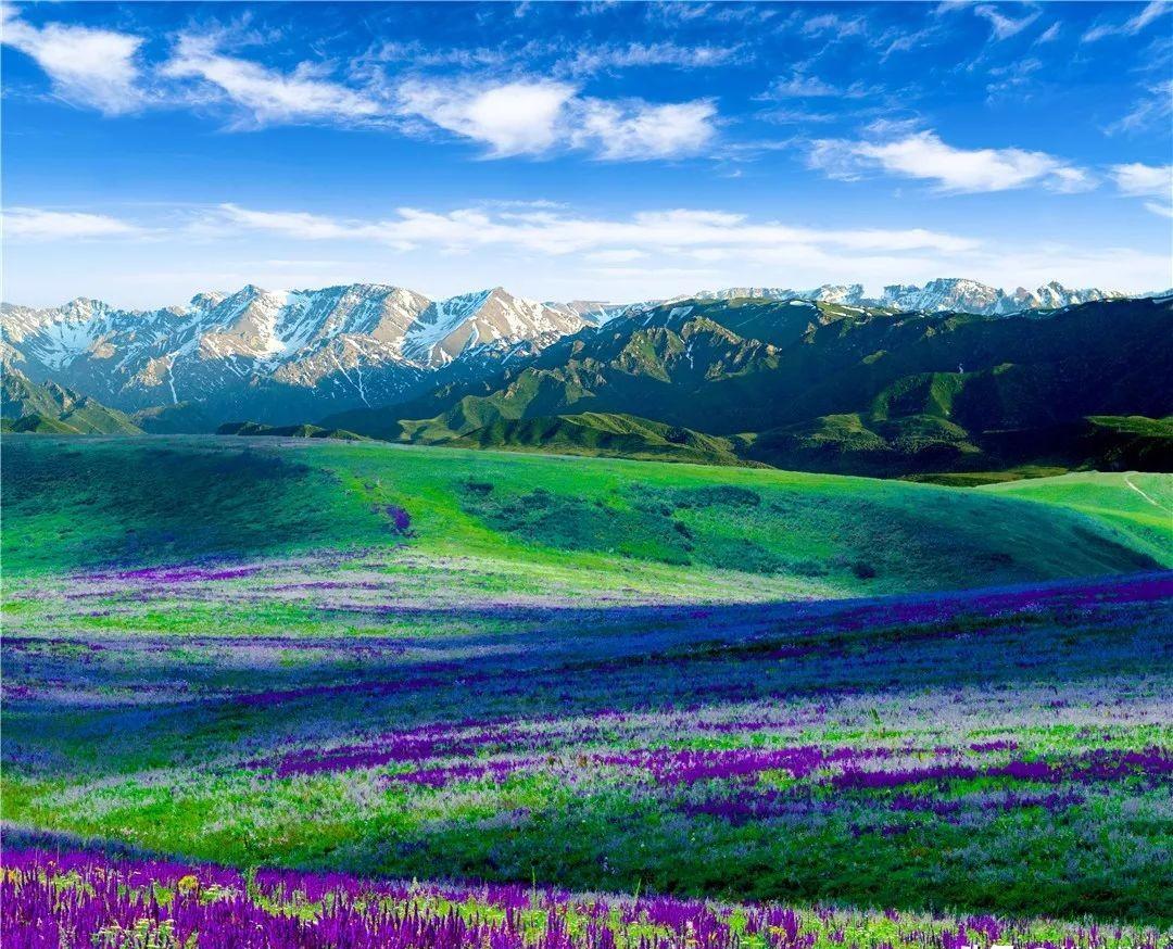 北疆安全稳定屏障图,北疆安全稳定屏障视频