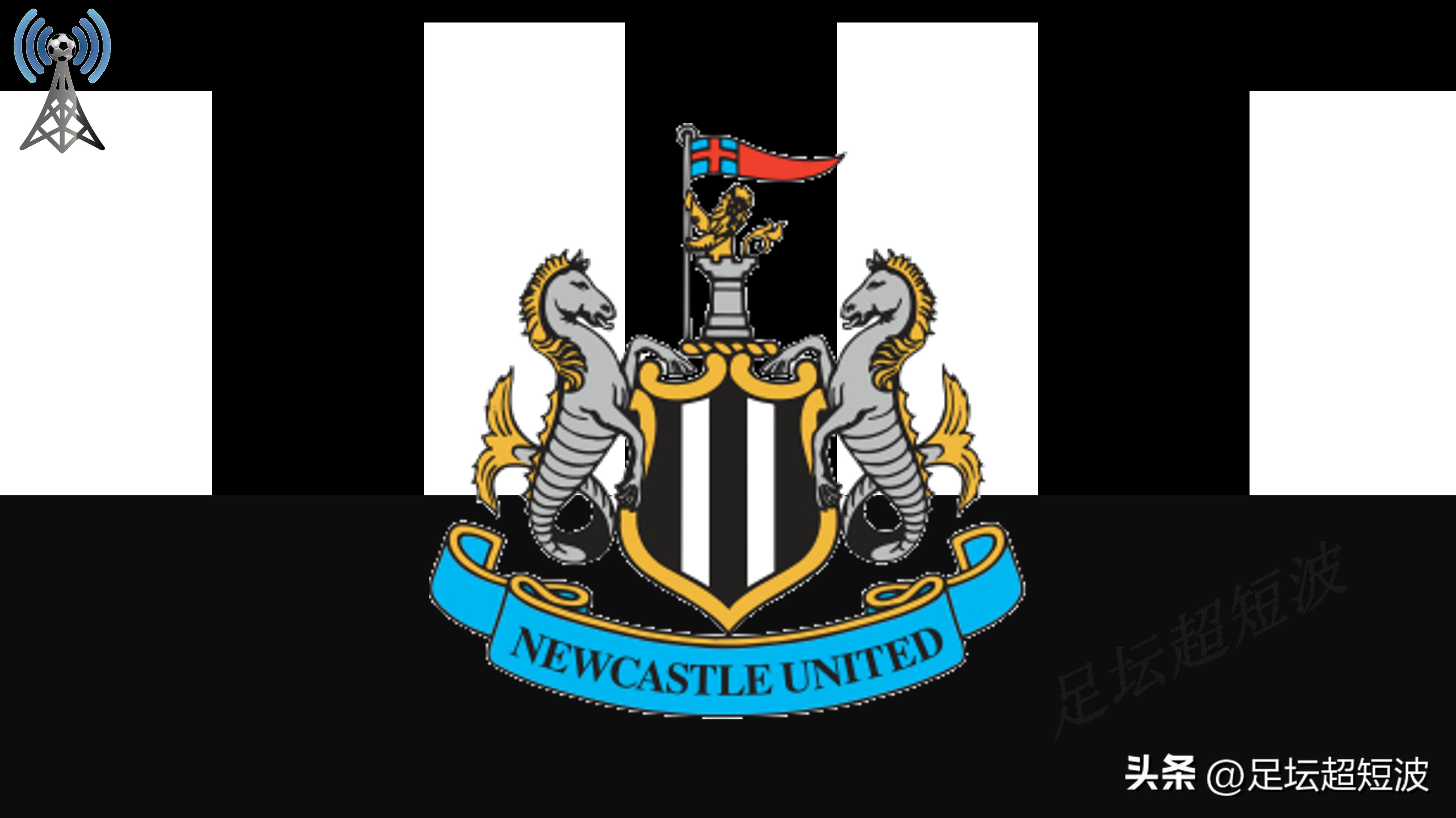 喜鹊死亡的视频,喜鹊之死完整视频