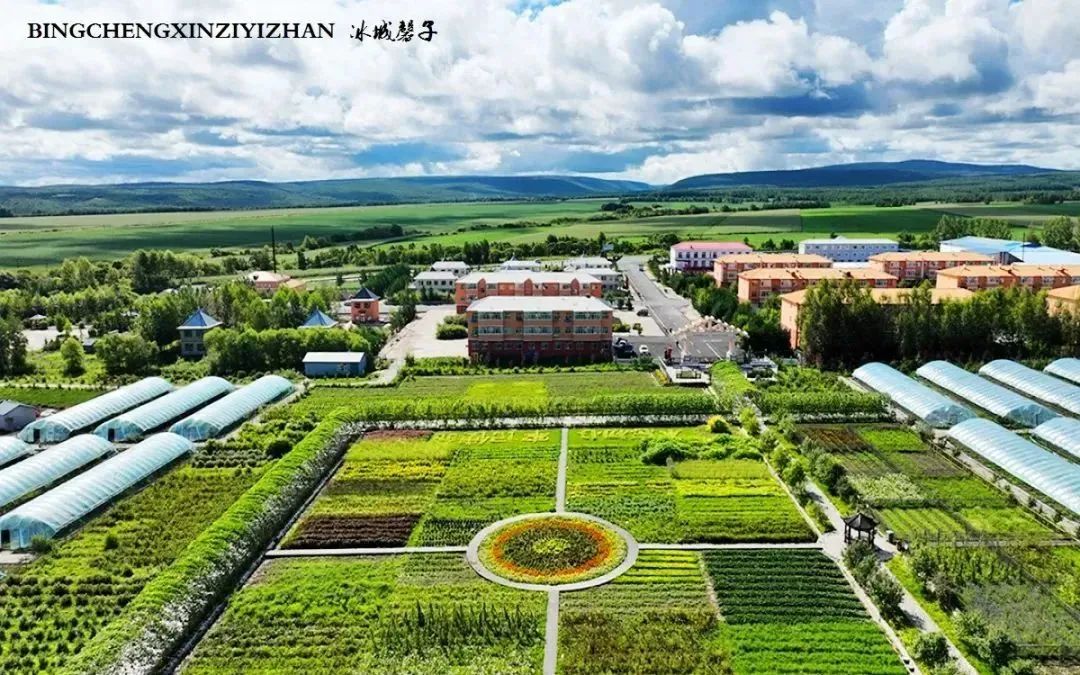 黑龙江恐龙之乡嘉荫县,中俄边境伊春市嘉荫县