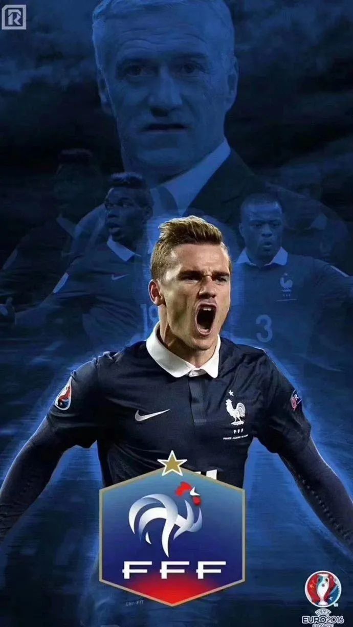 法国为什么把公鸡当作象征呢,法国与公鸡有什么关系