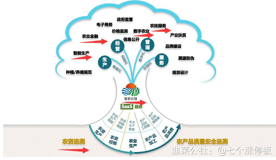 信息技术与数字化农业,数字化农业发展浪潮风起云涌