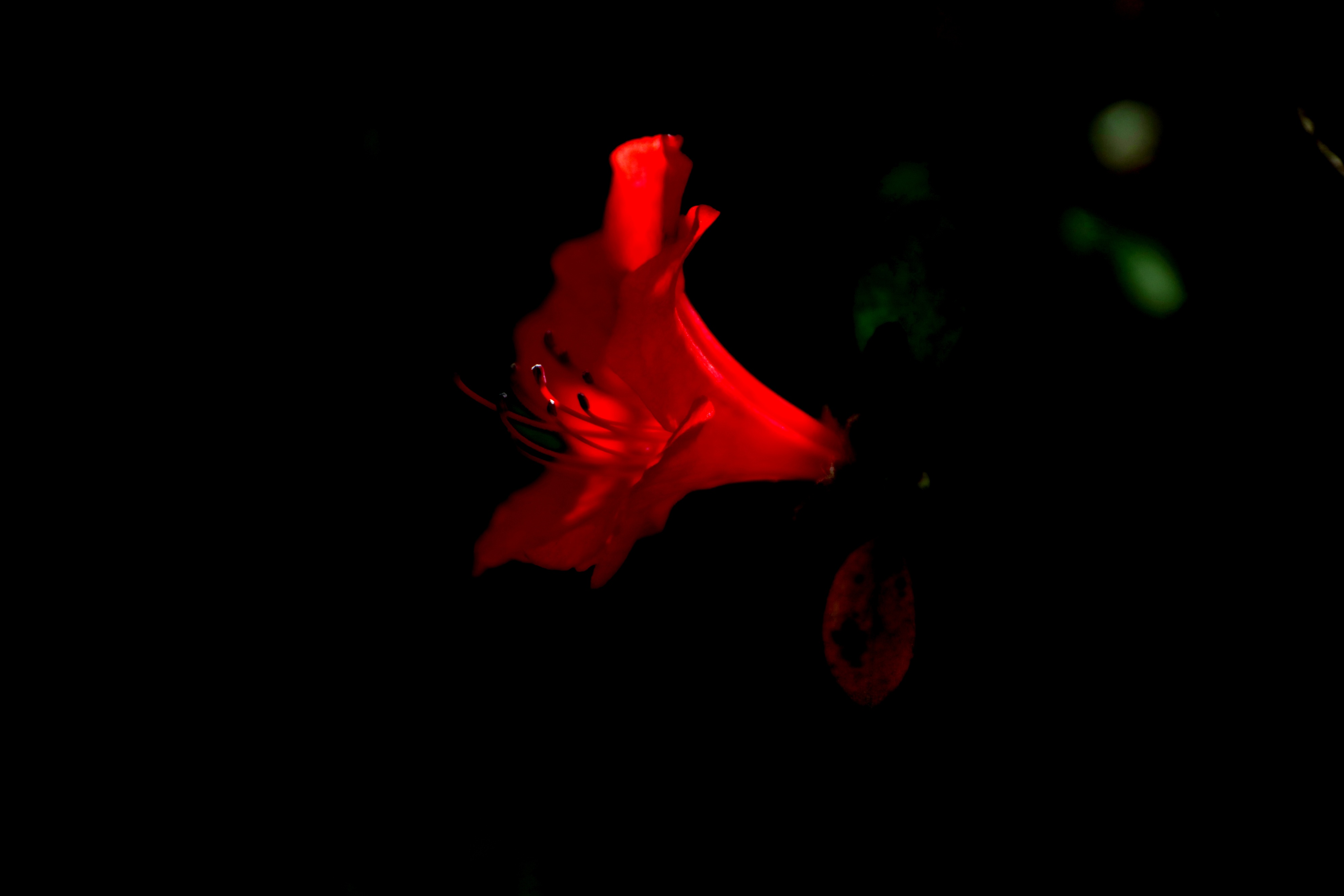 五四青年节致老青年们的图片,祝福五四青年节的图