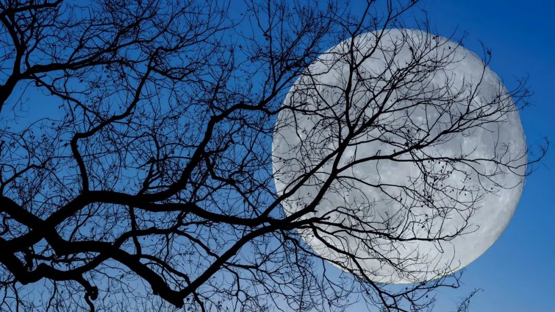 李贺最著名的十首诗句,李贺十首最经典的诗词