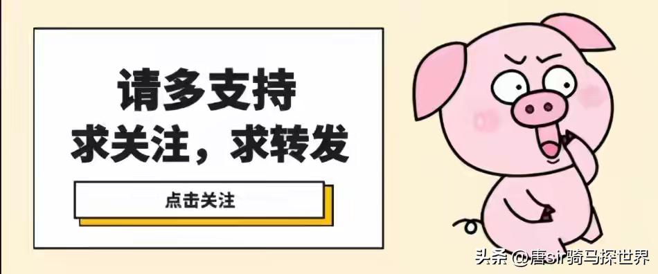 越南旅游安全吗,越南旅游安全吗目前