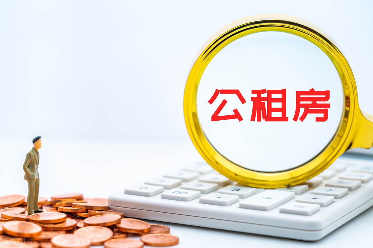 深圳炫富女申请公租房被说不符合,深圳“炫富女”申请到公租房