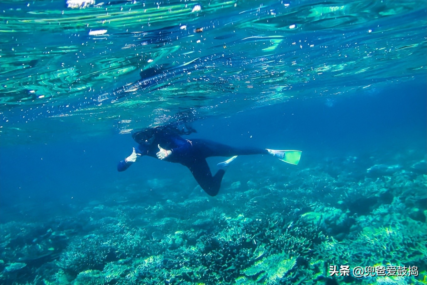 登岛旅游,仙本那和敦沙卡兰哪个好