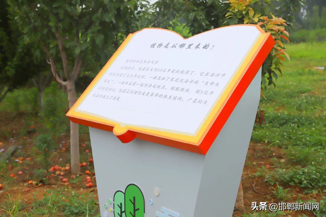 峰峰网红打卡地,寓教于玩幼儿园