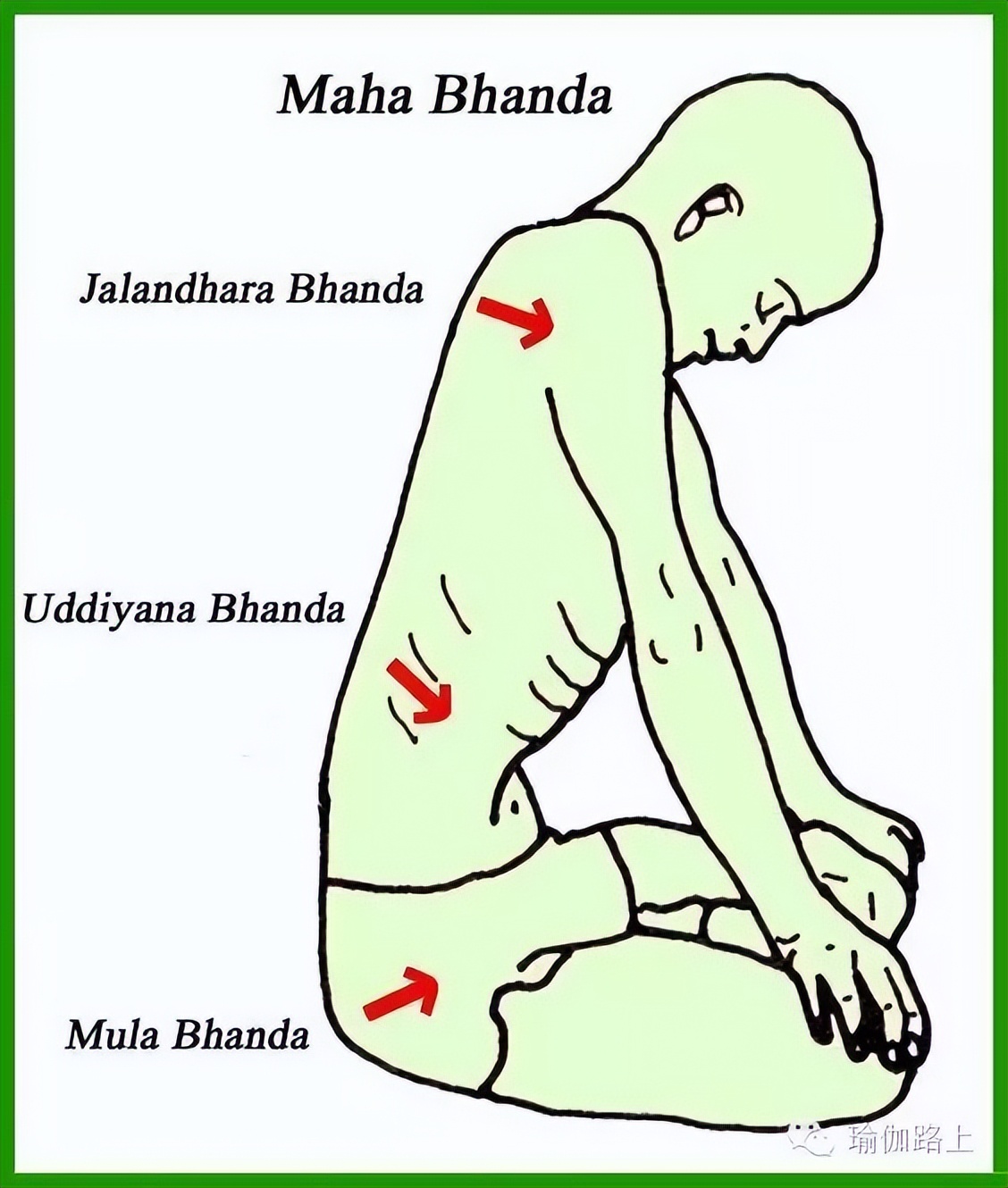 经典瑜伽拜日式图解,瑜伽传统拜日式的功效
