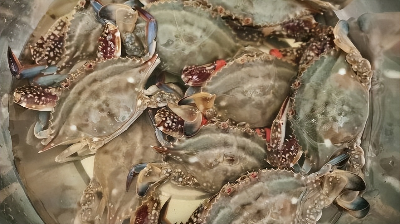 螃蟹怎么挑才好又肥又大,活螃蟹怎么挑选肥美