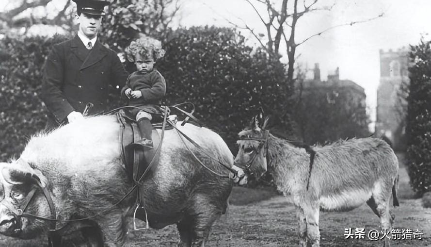 老照片再现侵华日军的罪恶行径,老照片日本侵华暴行