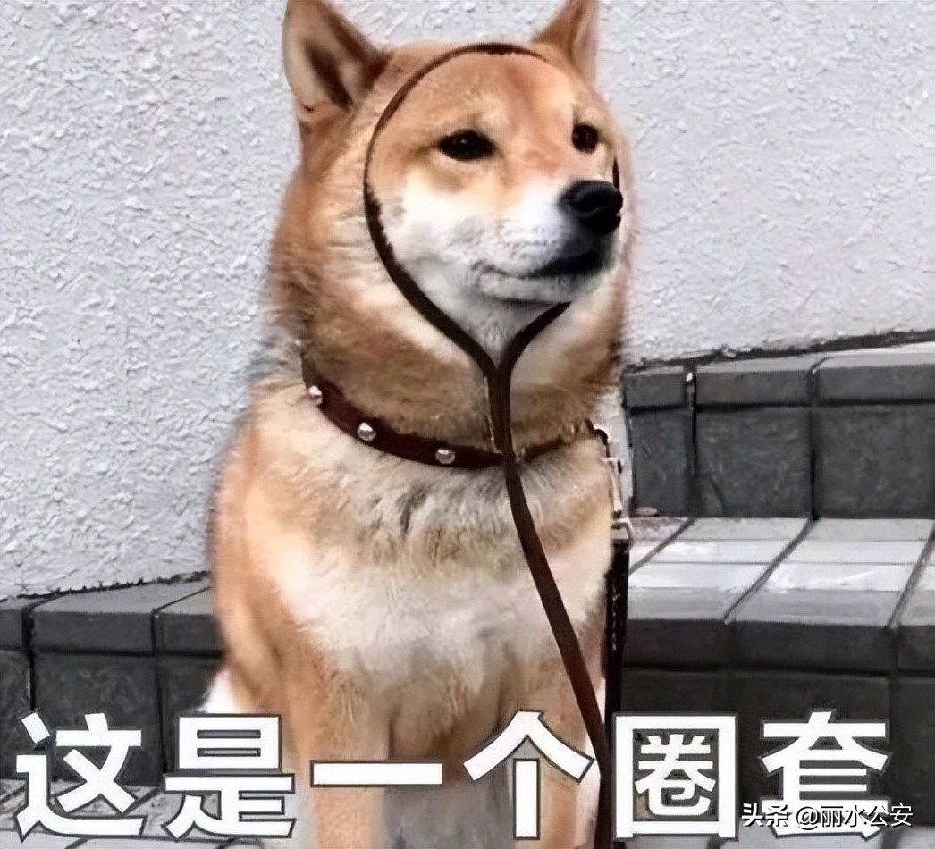 网络孕妇刷单骗局全揭秘,揭秘刷单诈骗团伙的套路