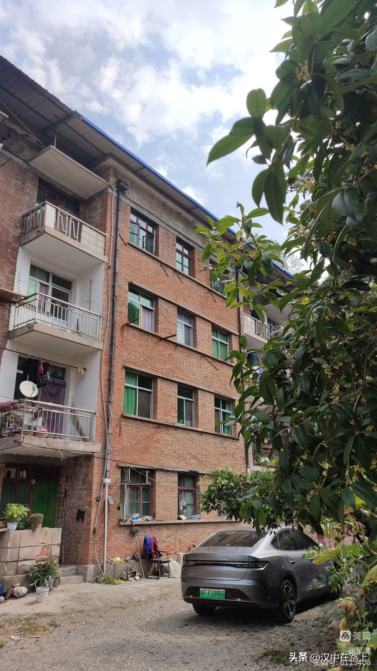 南峰心声,南峰情头