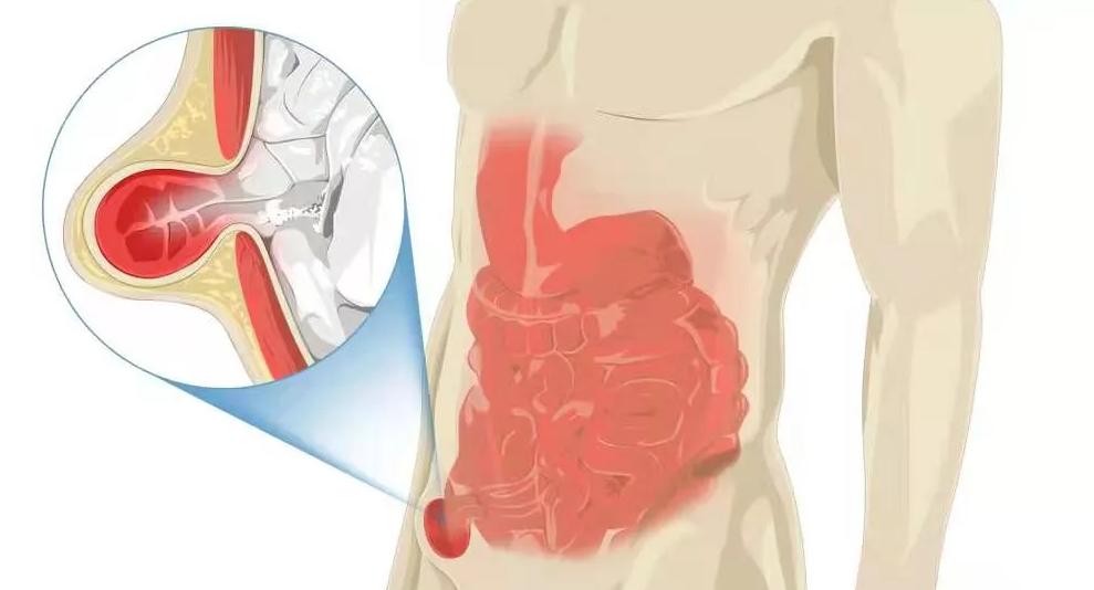 人体这些复杂的器官你知道吗,人体最难伺候的器官