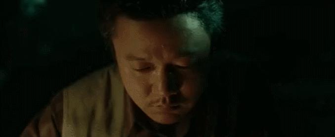 蚍蜉撼大树后一句,蜉蝣撼大树