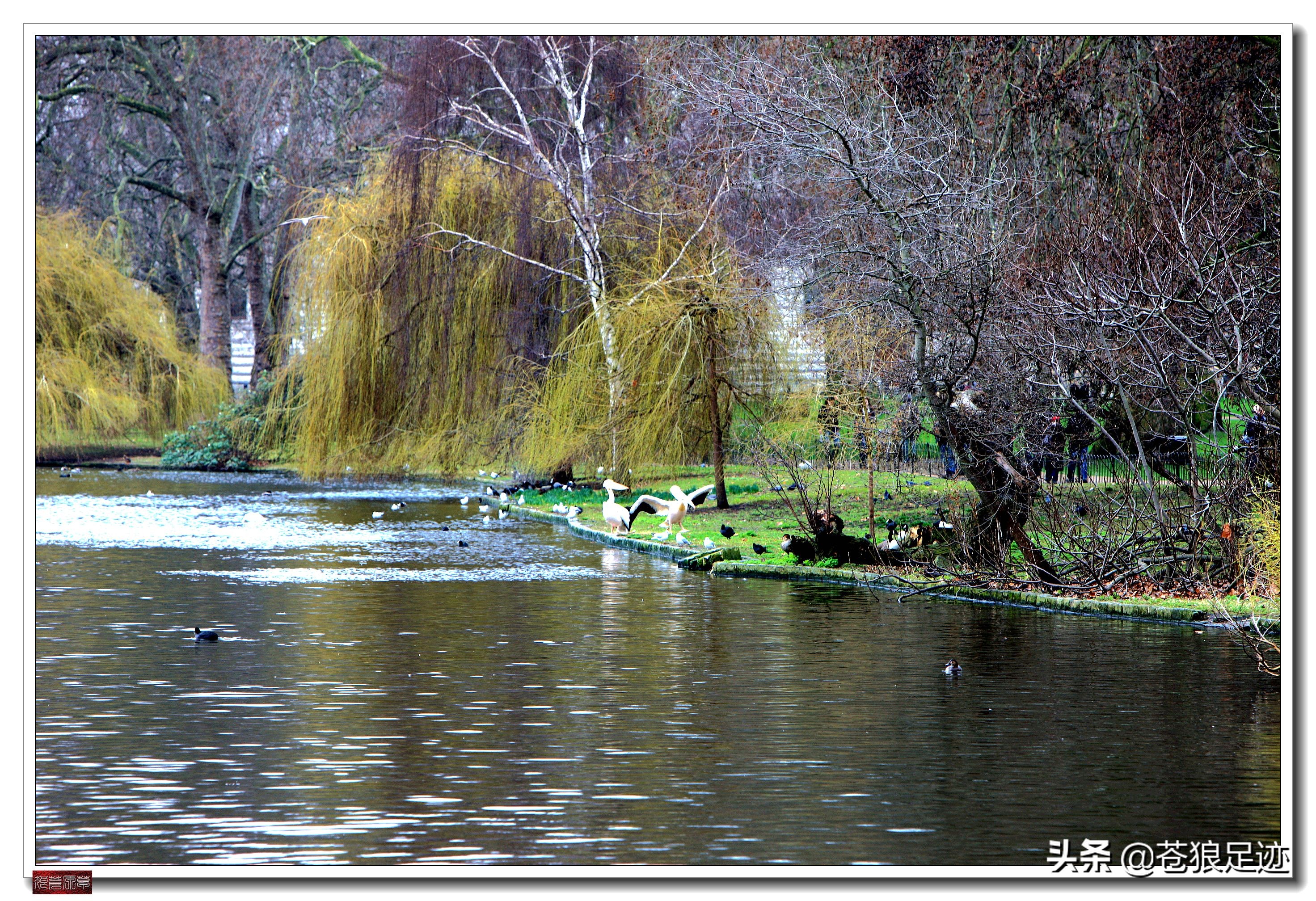 英国海德公园全景,英国皇家园林海德公园
