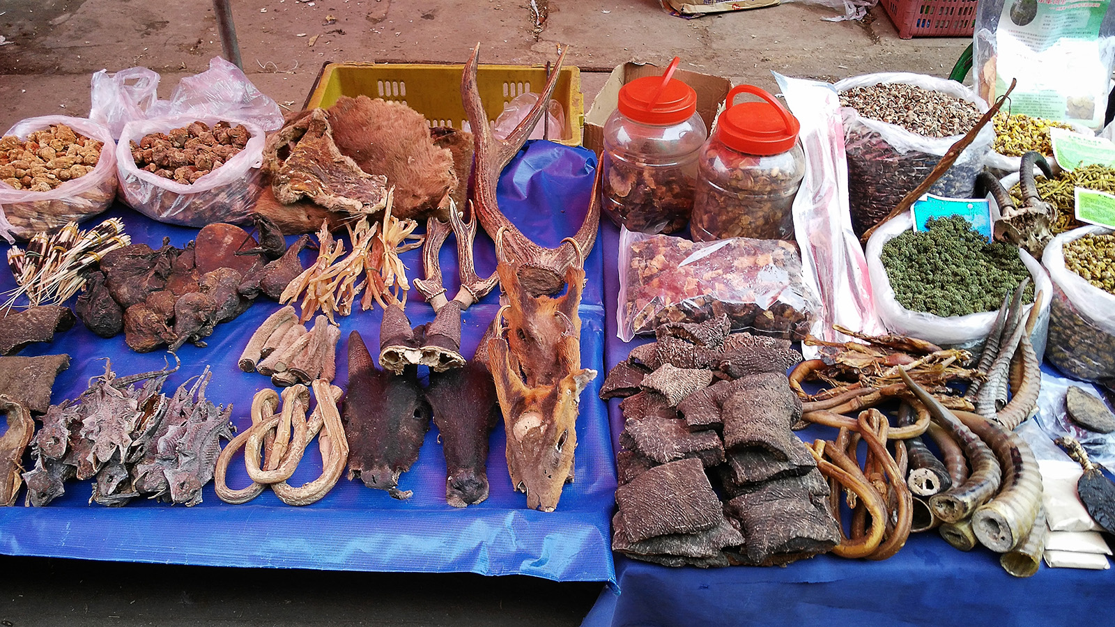 初哥视频,初哥徒步走西藏