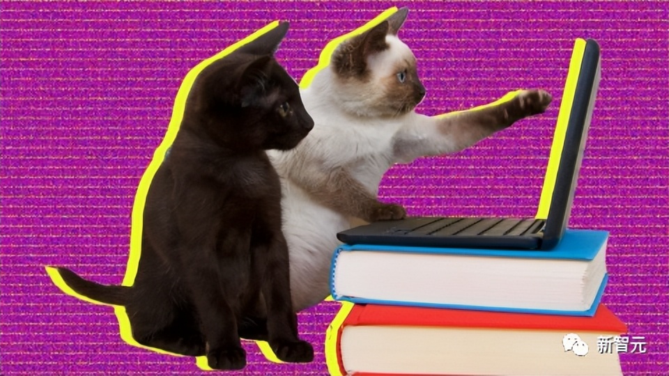 LeCun再爆金句：ChatGPT？连条狗都比不上！语言模型喂出来的而已