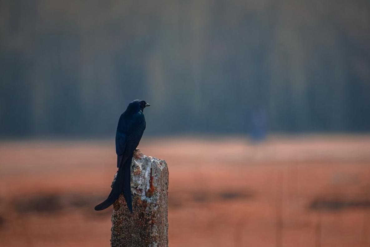一个男人穷了怎么办,一个男人穷被谁都看不起