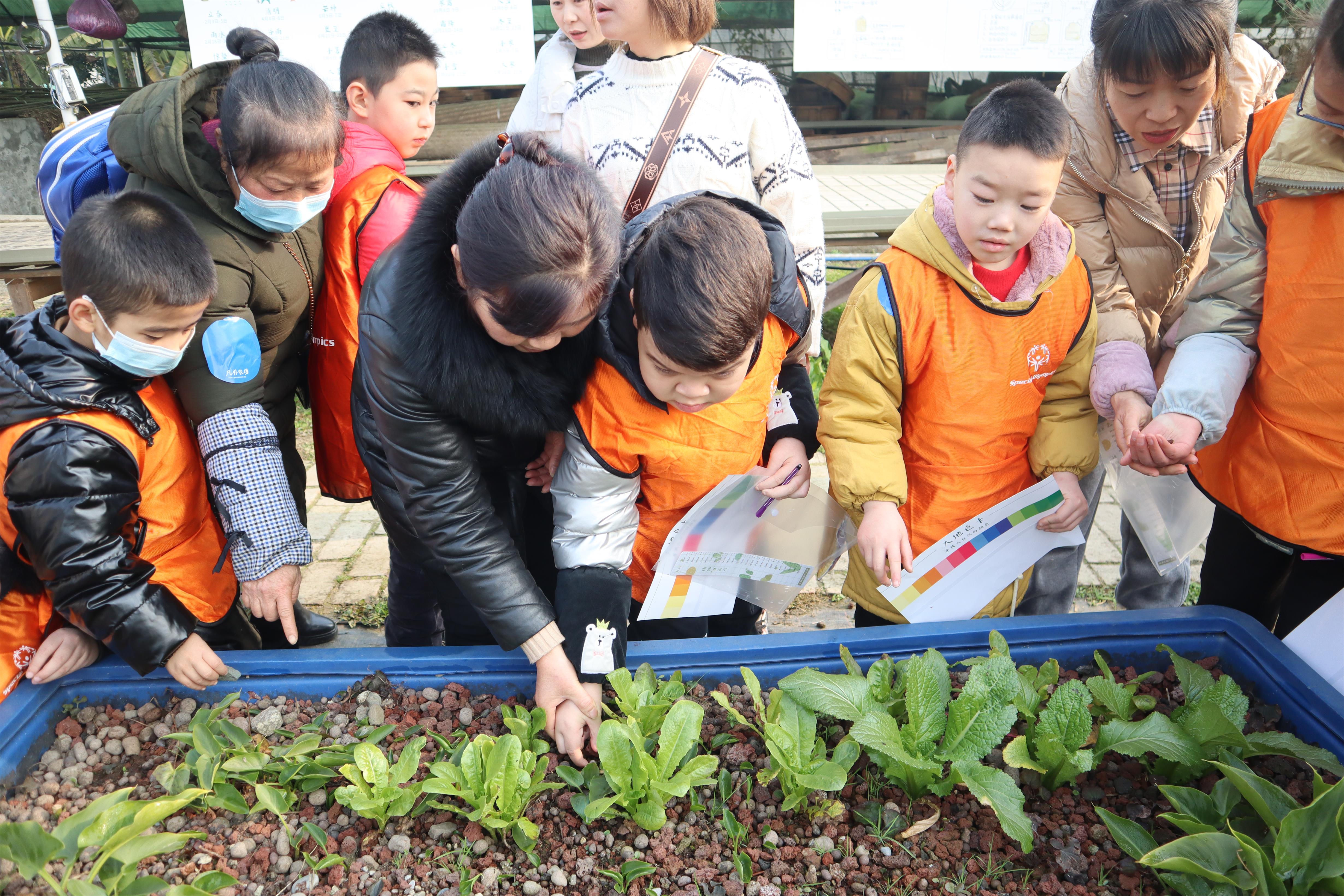 这堂走进大自然的“康复课”为孩子们带来了“冬日暖阳”